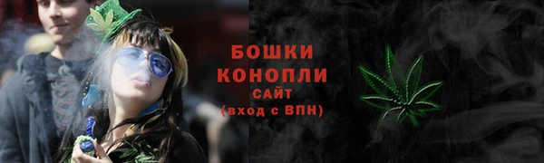 PSILOCYBIN Баксан