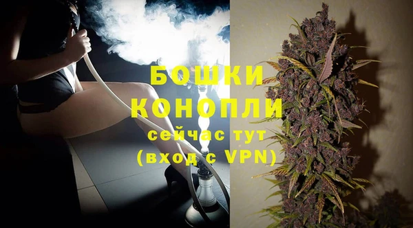 PSILOCYBIN Баксан