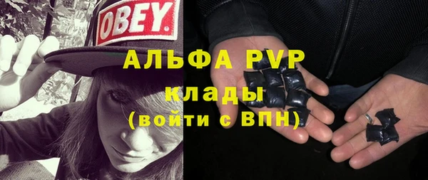 PSILOCYBIN Баксан